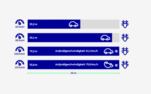 Eine Grafik zeigt die Bremswege bei einer bestimmten Geschwindigkeit, um einen Wildunfall zu vermeiden.